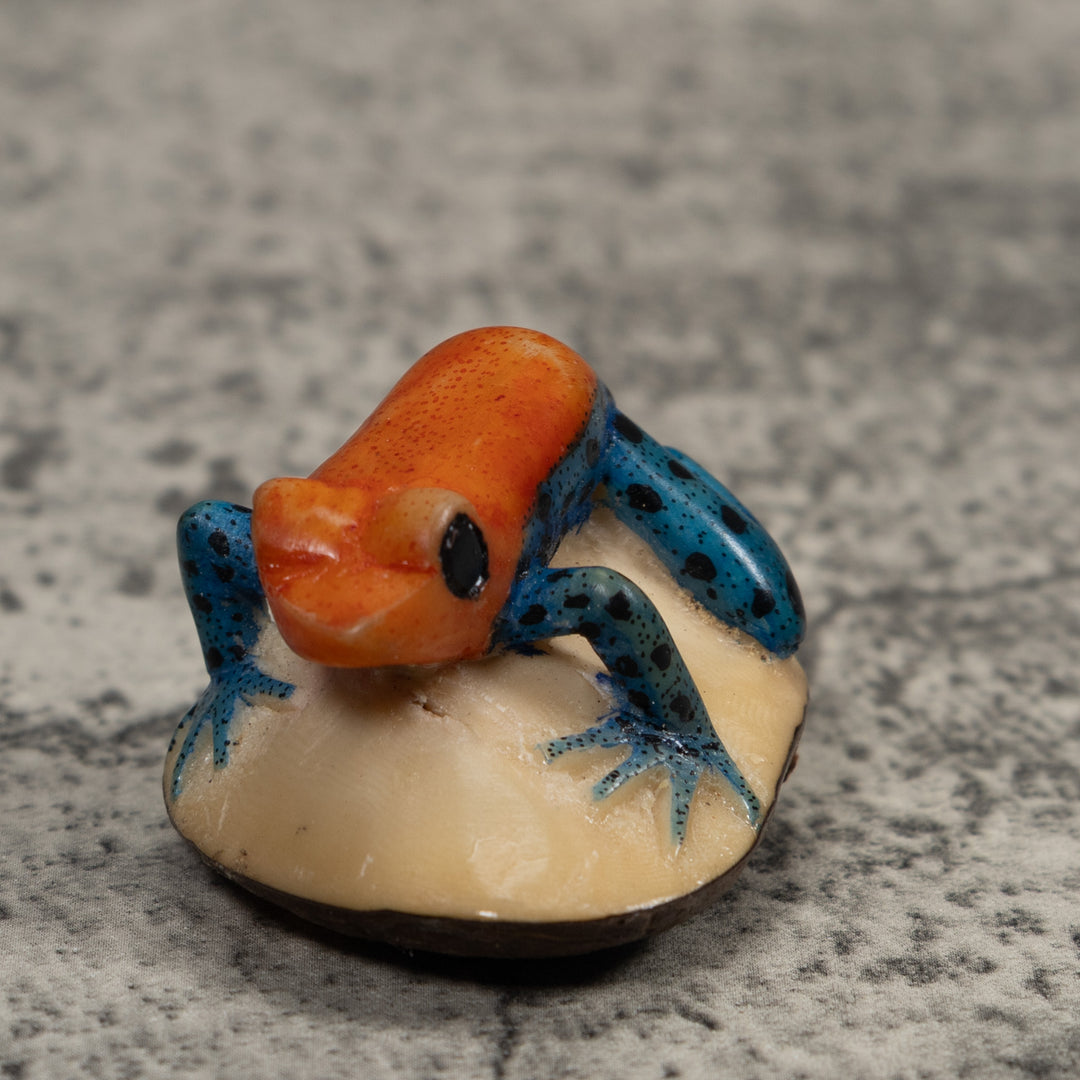 Poison Dart Frog Tagua Carving