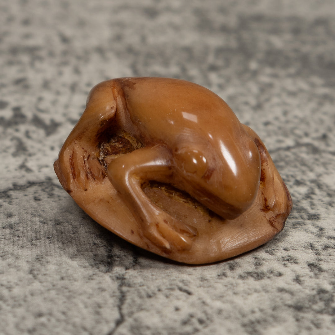 Vintage Brown Frog Tagua Carving