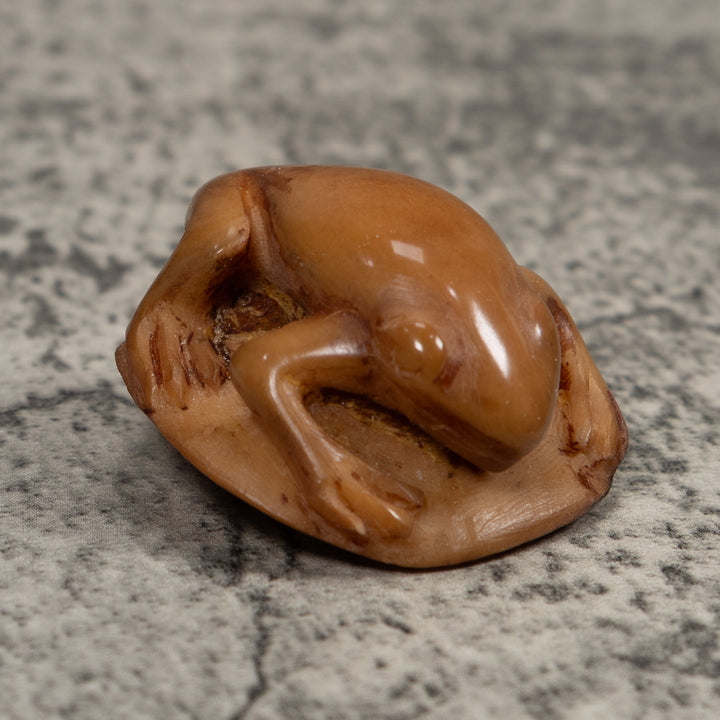 Vintage Brown Frog Tagua Carving