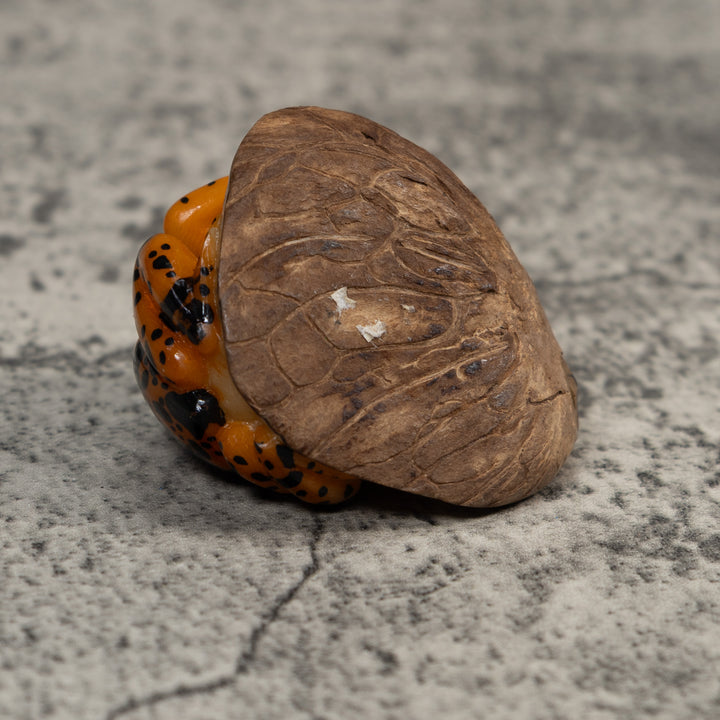 Black And Gold Poison Dart Frog Tagua Carving