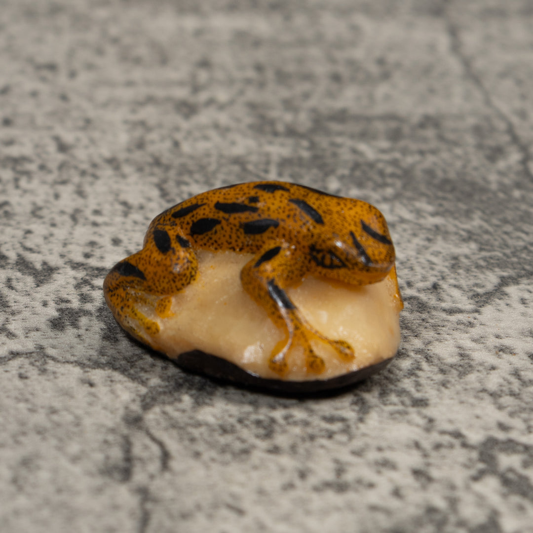 Vintage Gold And Black Poison Dart Frog Tagua Carving