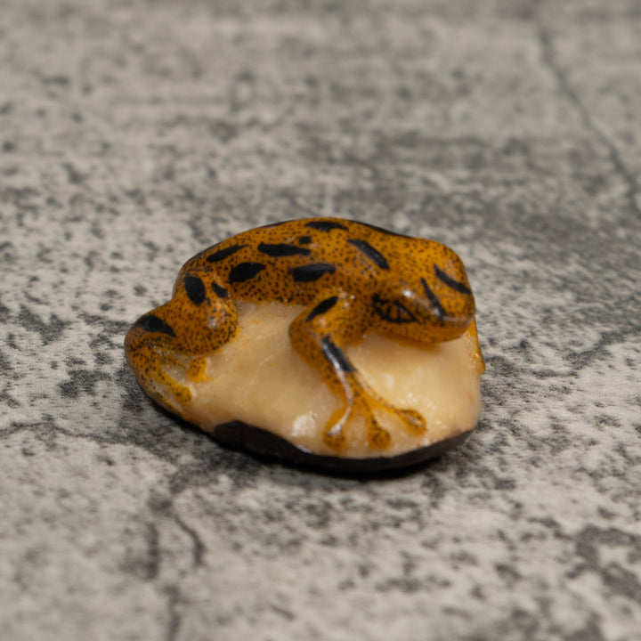 Vintage Gold And Black Poison Dart Frog Tagua Carving