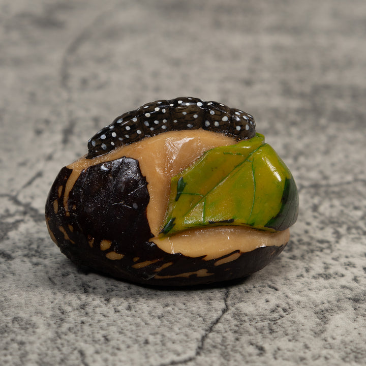 Black White And Green Caterpillar Tagua Carving