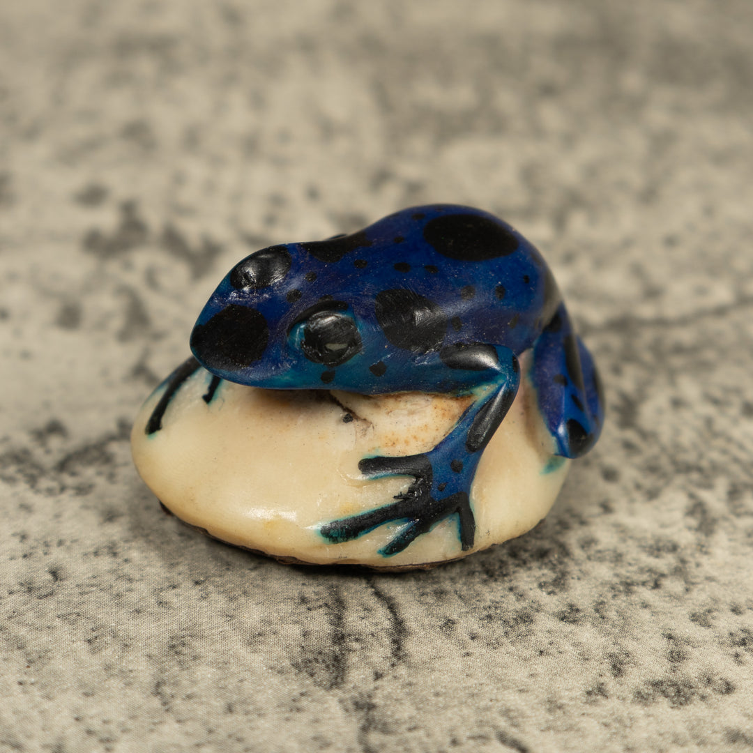 Vintage Blue Poison Dart Frog Tagua Carving