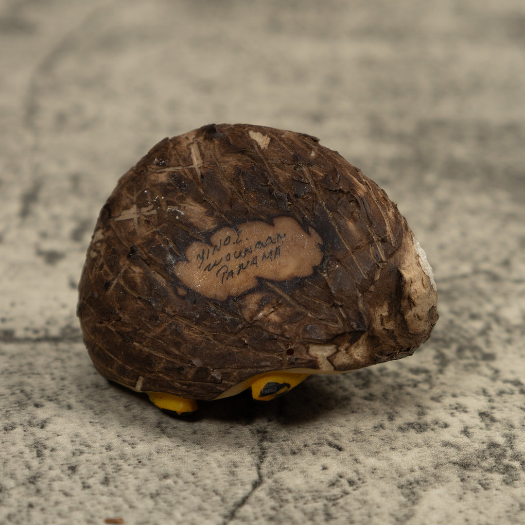 Poison Dart Frog Tagua Carving