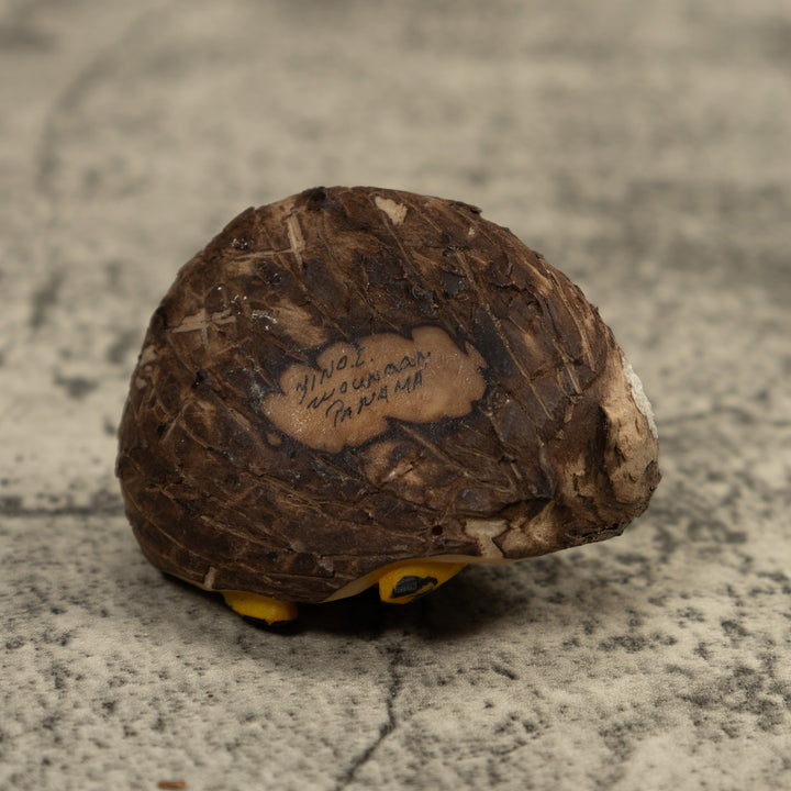 Poison Dart Frog Tagua Carving