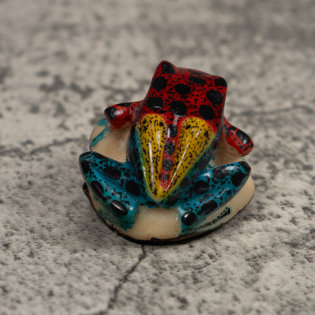 Poison Dart Frog Tagua Carving