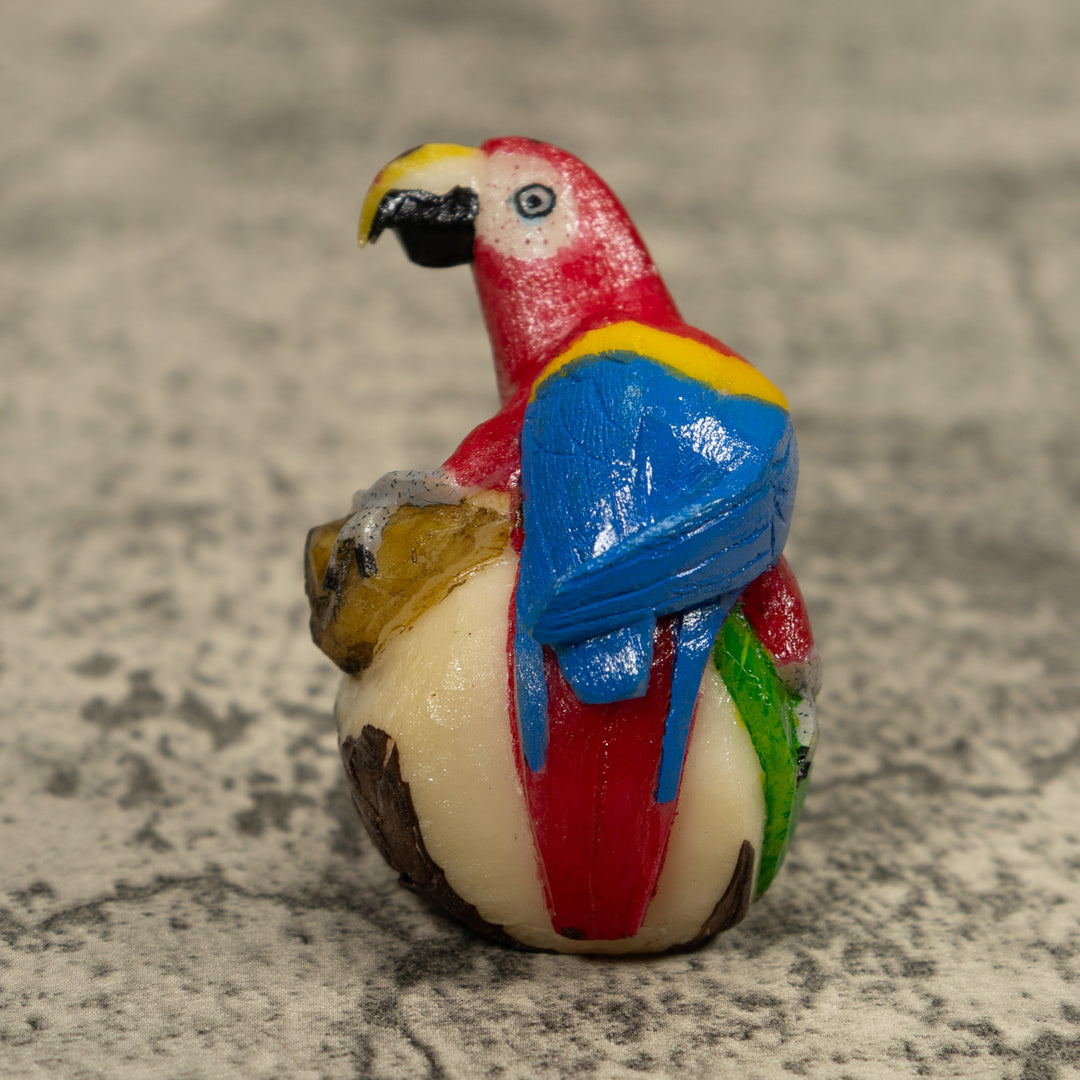 Macaw Parrot Bird Tagua Carving