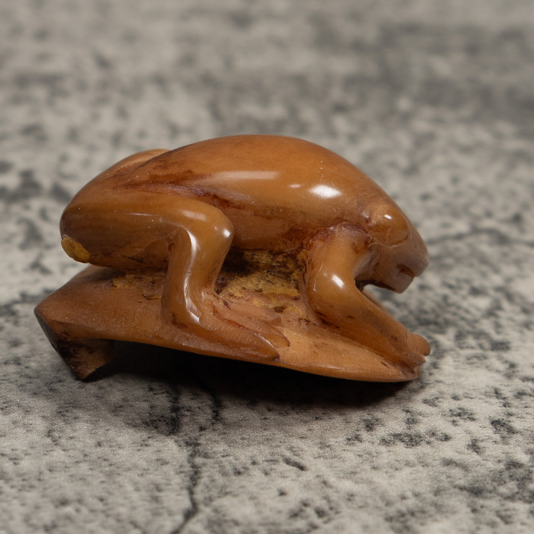 Vintage Brown Frog Tagua Carving