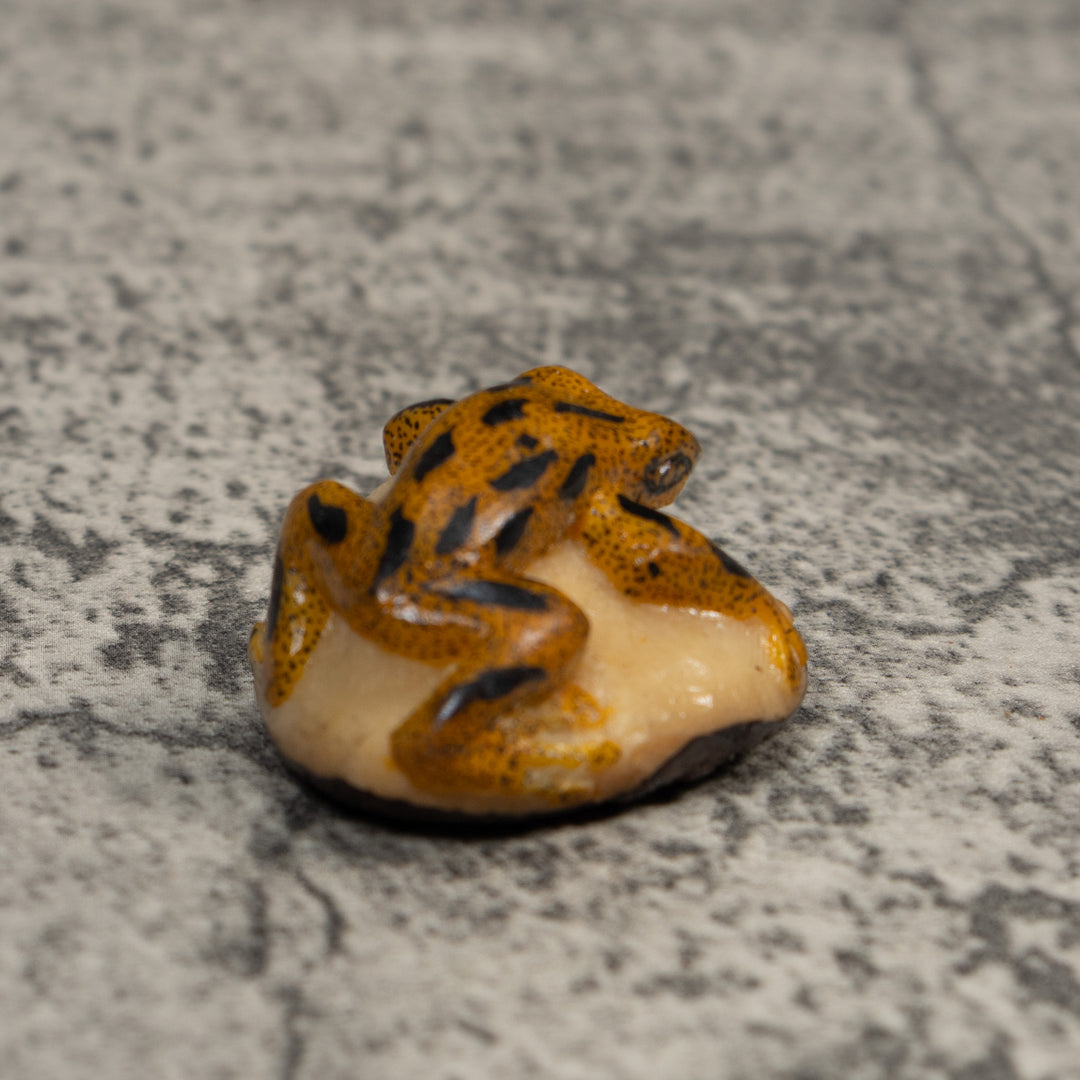 Vintage Gold And Black Poison Dart Frog Tagua Carving