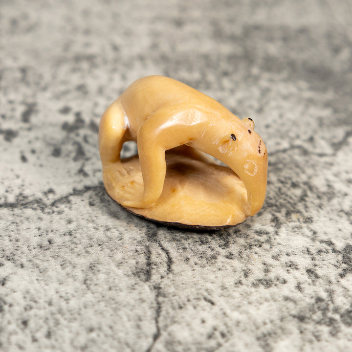Natural White Anteater Tagua Carving