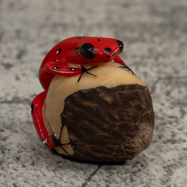 Vintage Red Poison Dart Frog Tagua Carving