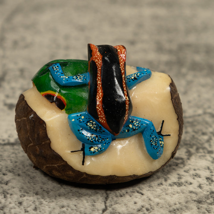 Blue Black And Red Frog Tagua Carving