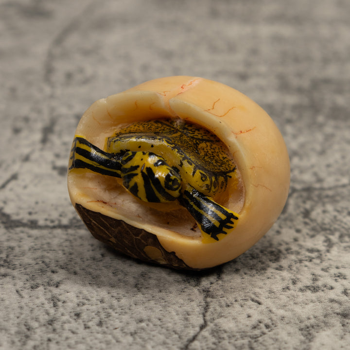 Tortise And Egg Tagua Carving
