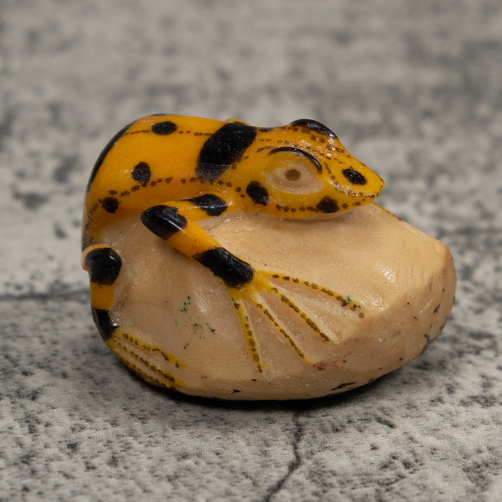 Vintage Golden Frog Tagua Carving