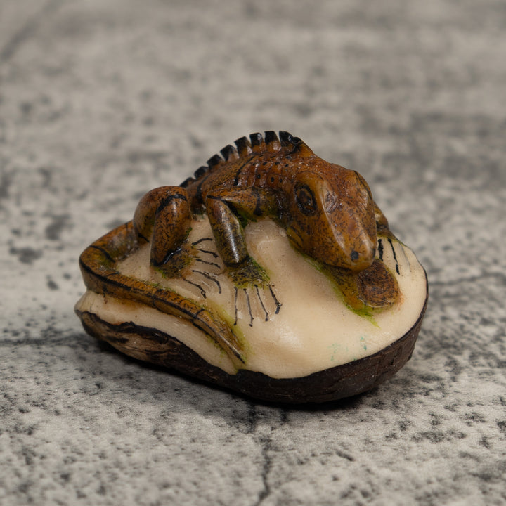 Brown And Black Iguana Lizard Tagua Carving