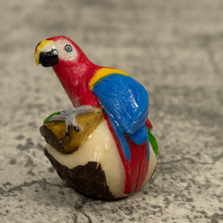 Macaw Parrot Bird Tagua Carving