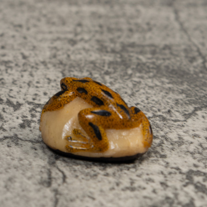 Vintage Gold And Black Poison Dart Frog Tagua Carving