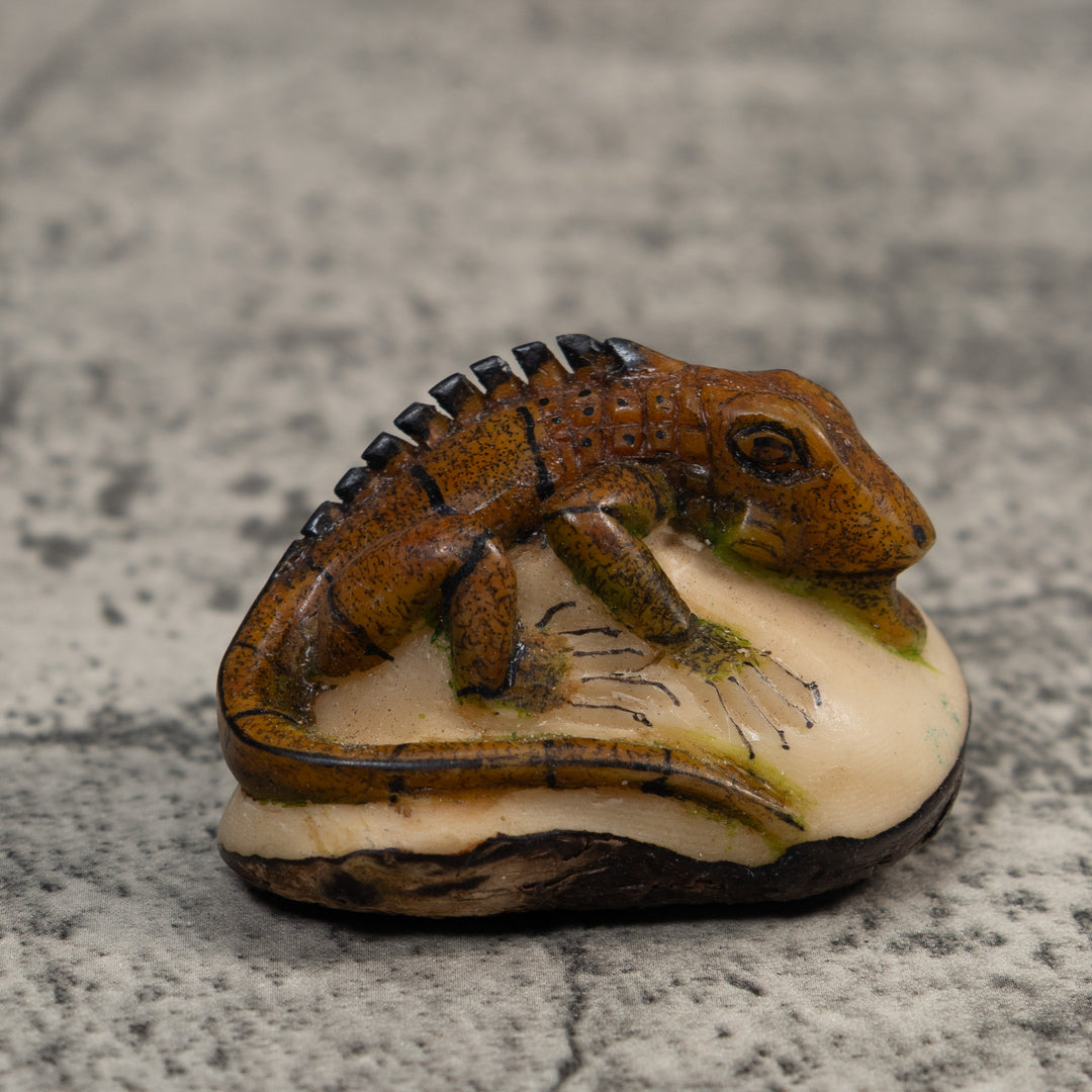 Brown And Black Iguana Lizard Tagua Carving