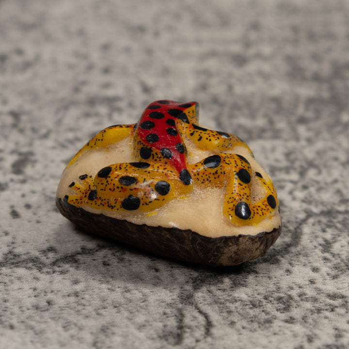 Vintage Poison Dart Frog Tagua Carving