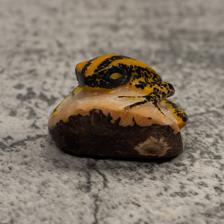 Vintage Yellow And Black Frog Tagua Carving