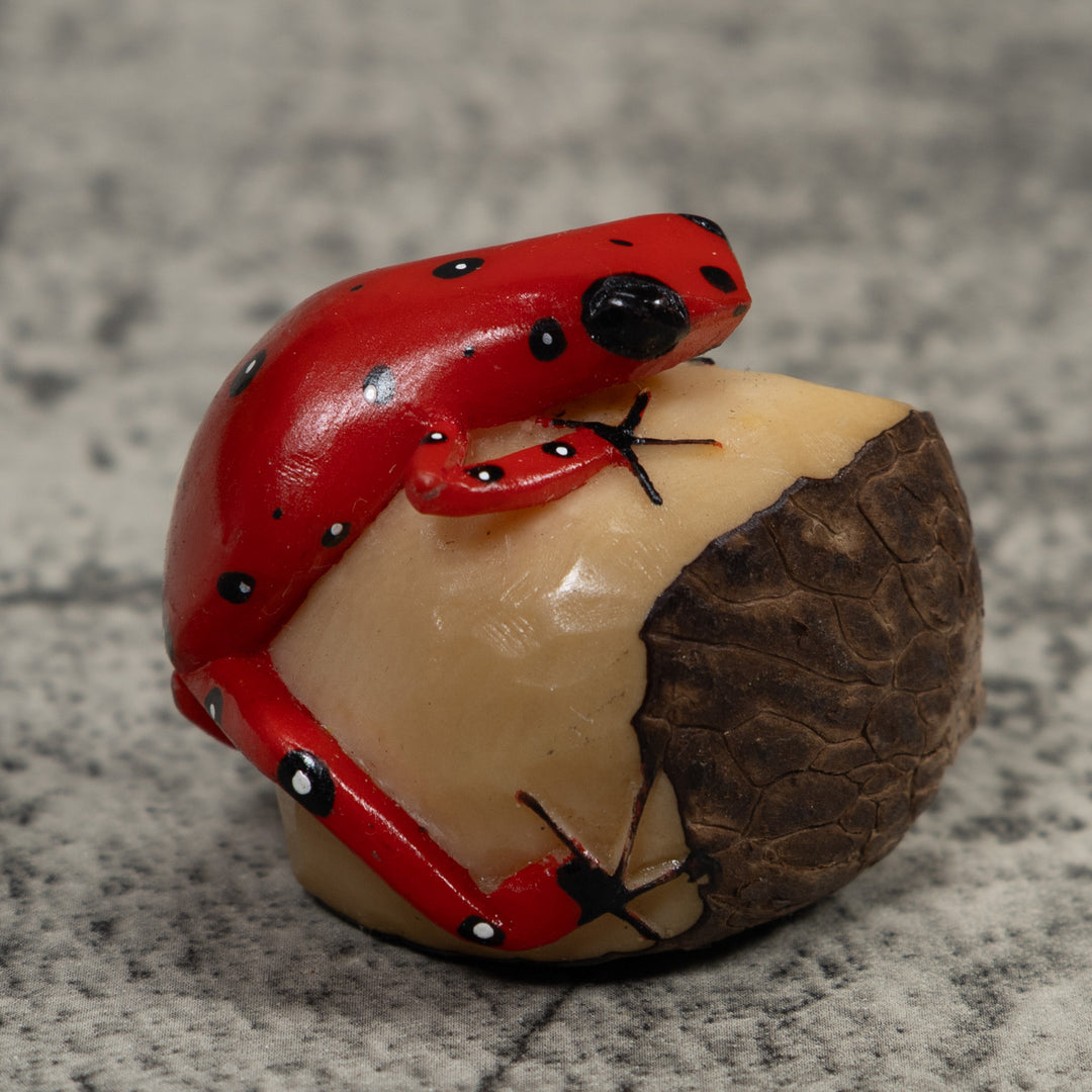 Vintage Red Poison Dart Frog Tagua Carving
