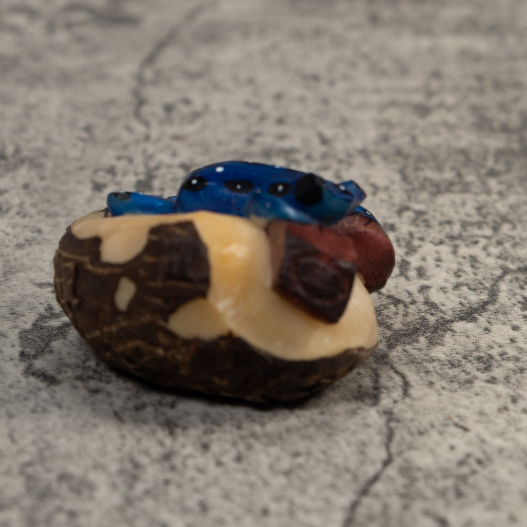 Blue White And Brown Poison Dart Frog Tagua Carving