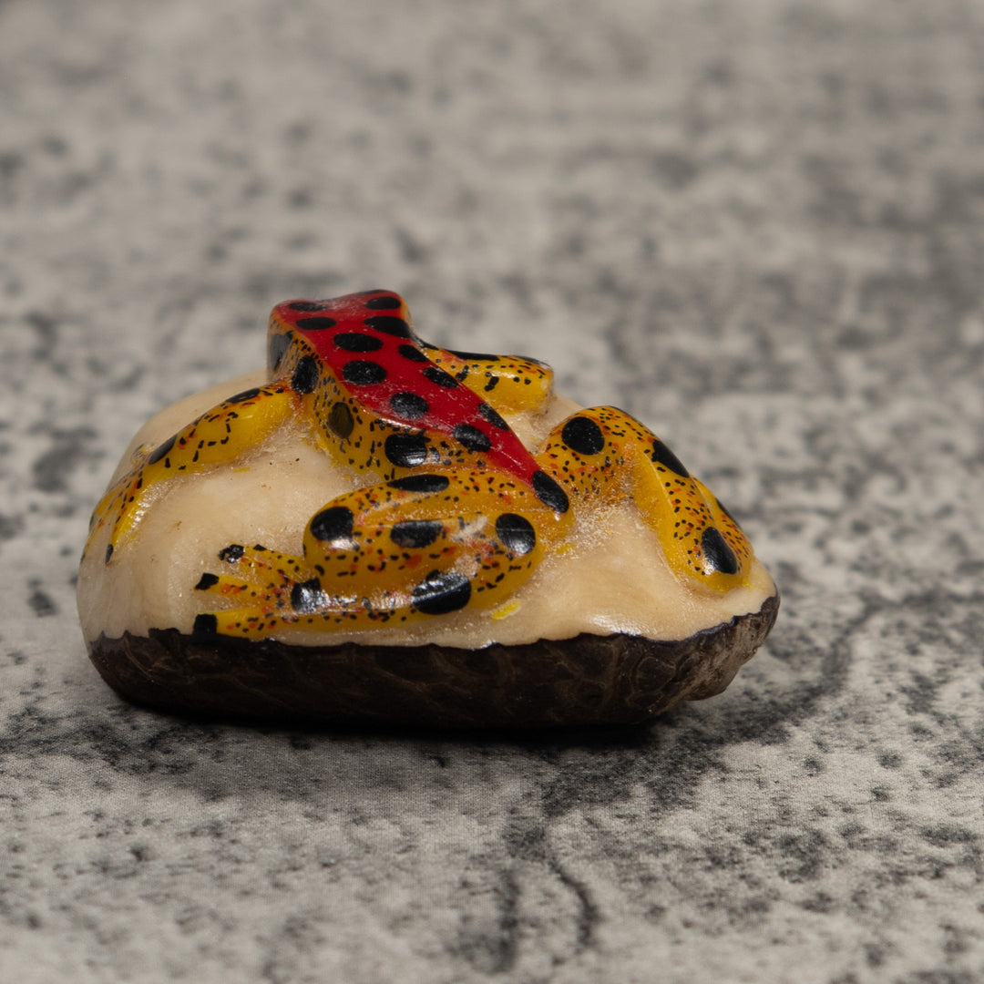 Vintage Poison Dart Frog Tagua Carving