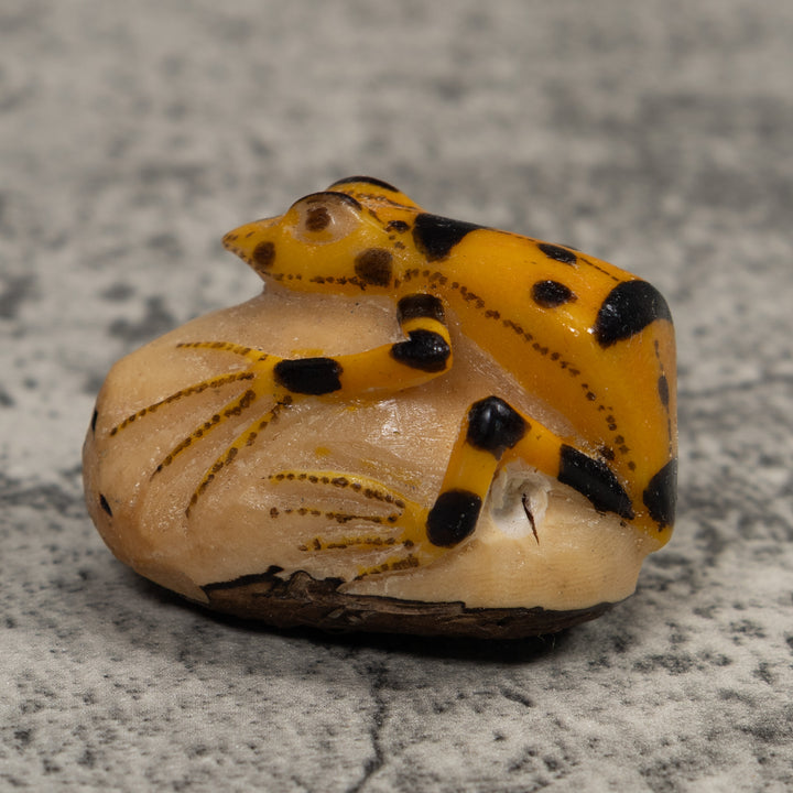 Vintage Golden Frog Tagua Carving