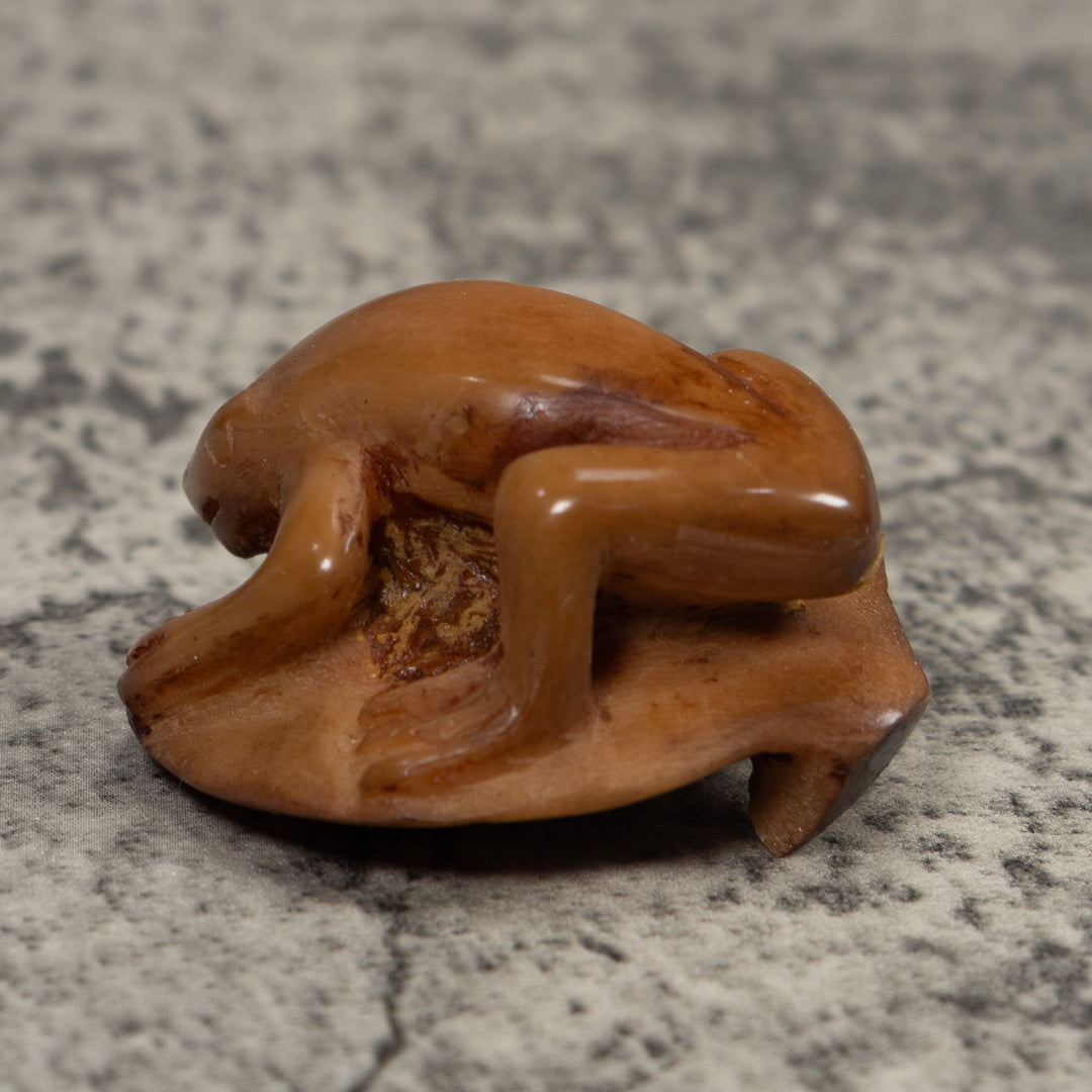 Vintage Brown Frog Tagua Carving