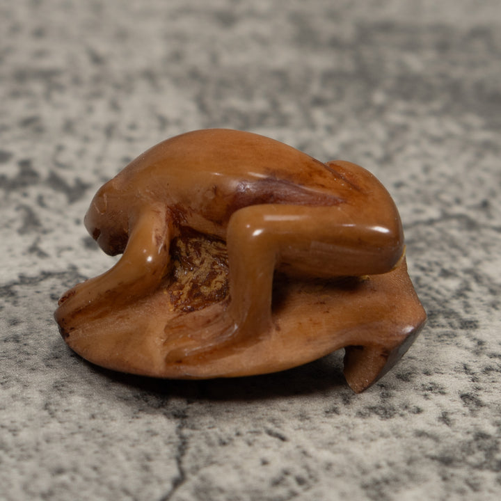 Vintage Brown Frog Tagua Carving