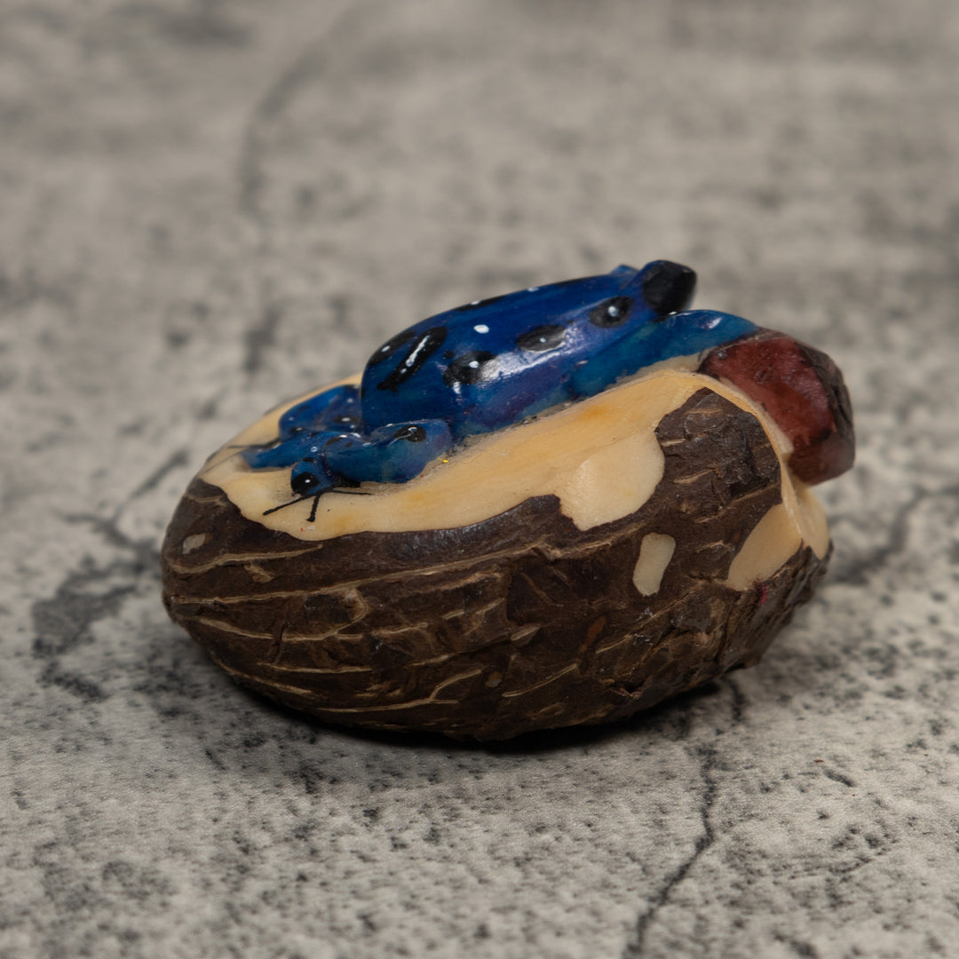 Blue White And Brown Poison Dart Frog Tagua Carving