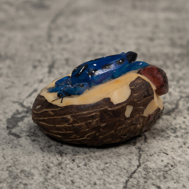 Blue White And Brown Poison Dart Frog Tagua Carving