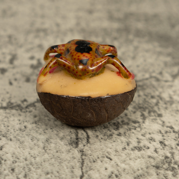Vintage Orange And Black Poison Dart Frog Tagua Carving