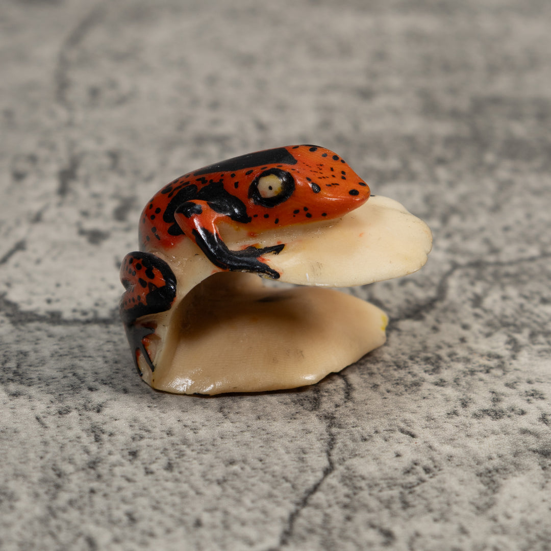 Black And Red Poison Dart Frog Tagua Carving