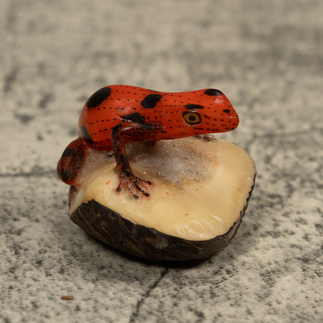 Poison Dart Frog Tagua Carving