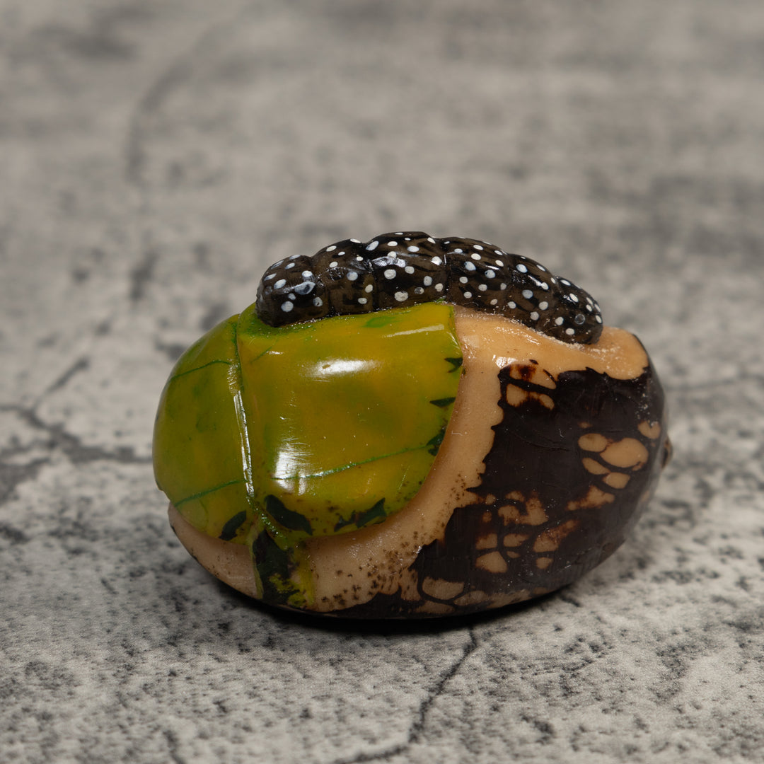 Black White And Green Caterpillar Tagua Carving