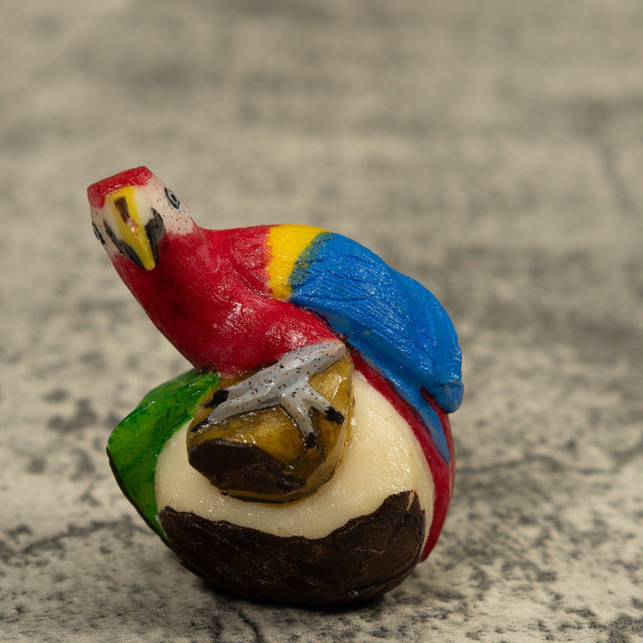Macaw Parrot Bird Tagua Carving