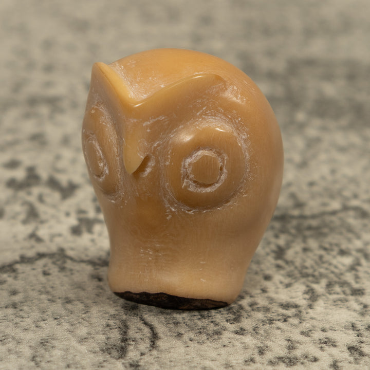 Vintage Natural White Owl Bird Tagua Carving
