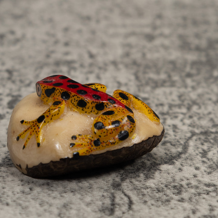 Vintage Poison Dart Frog Tagua Carving