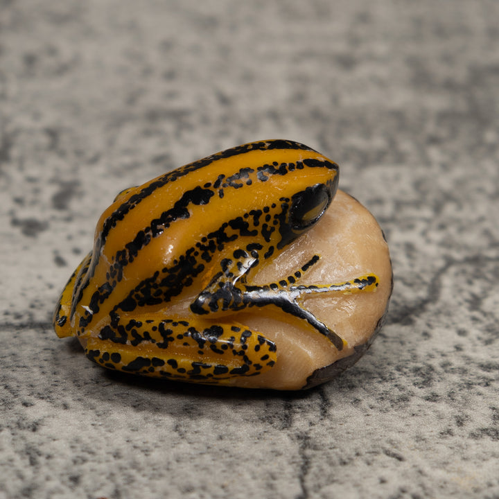Vintage Yellow And Black Frog Tagua Carving
