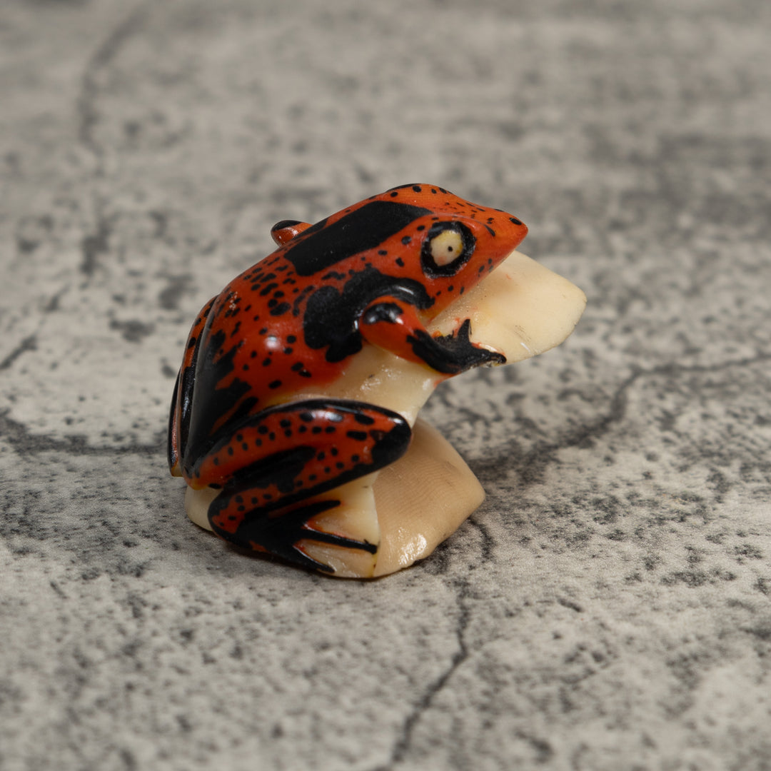 Black And Red Poison Dart Frog Tagua Carving