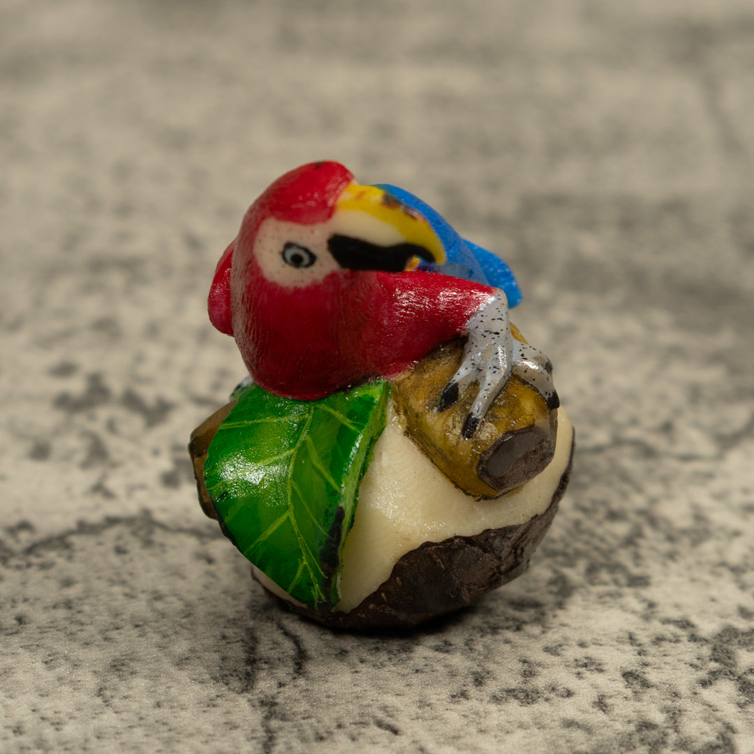 Macaw Parrot Bird Tagua Carving