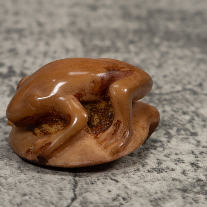 Vintage Brown Frog Tagua Carving
