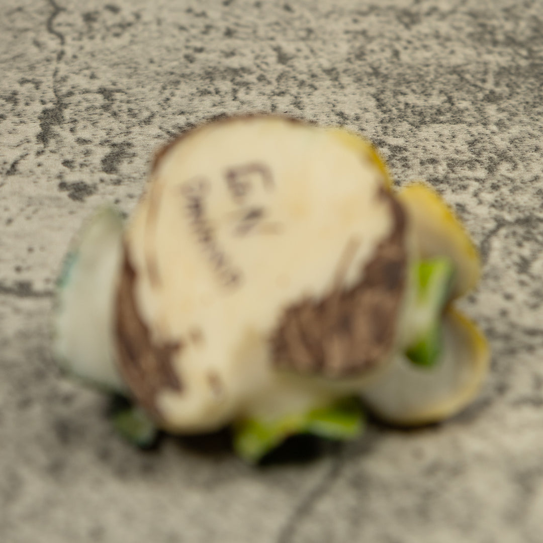 Hummingbird Tagua Carving