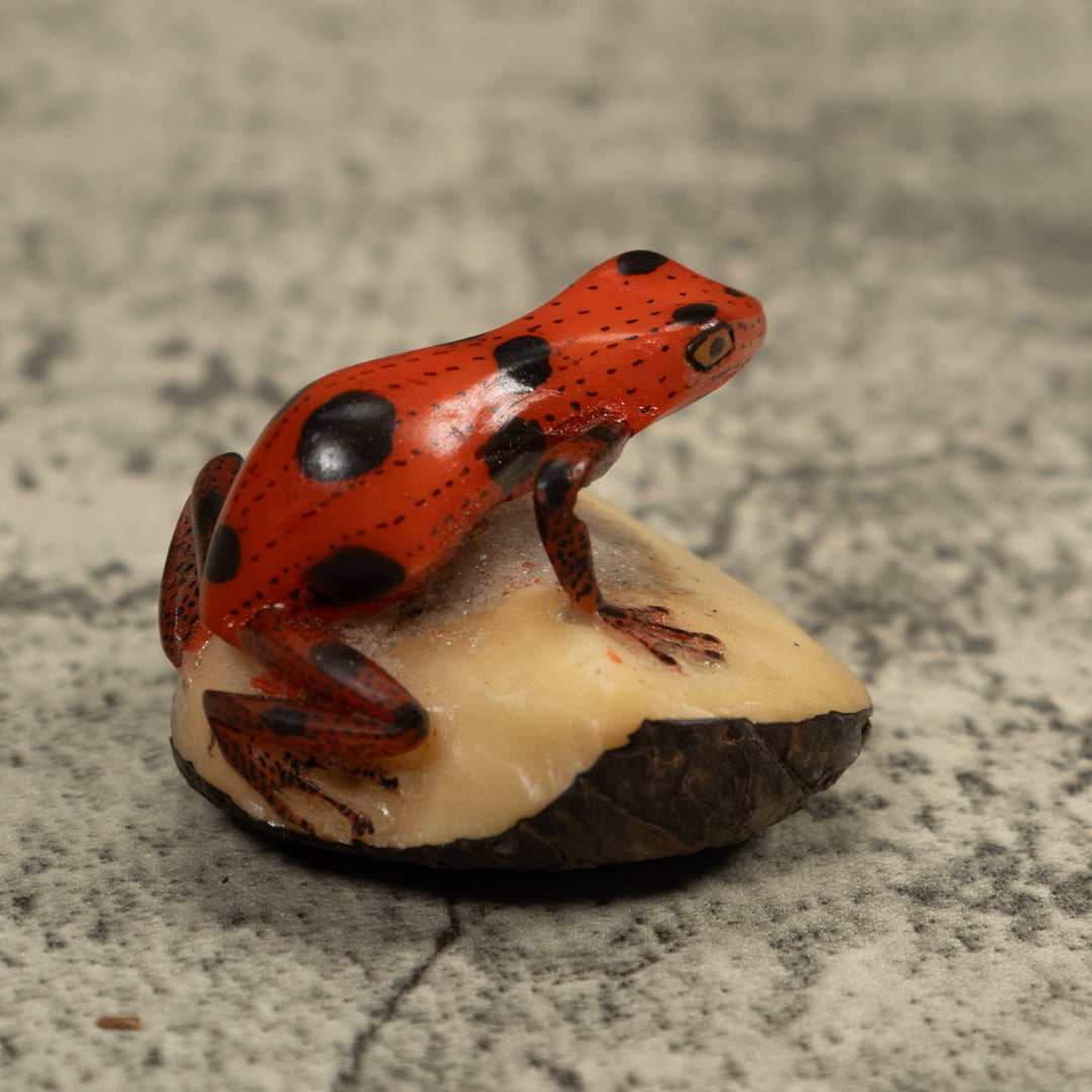 Poison Dart Frog Tagua Carving