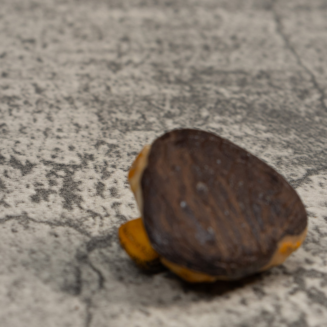Vintage Gold And Black Poison Dart Frog Tagua Carving