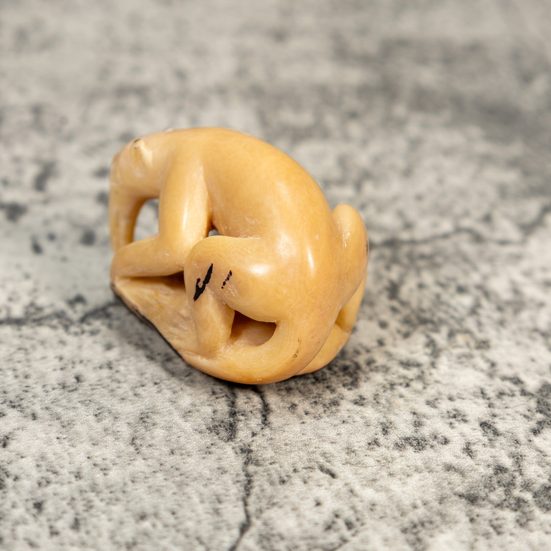 Natural White Anteater Tagua Carving