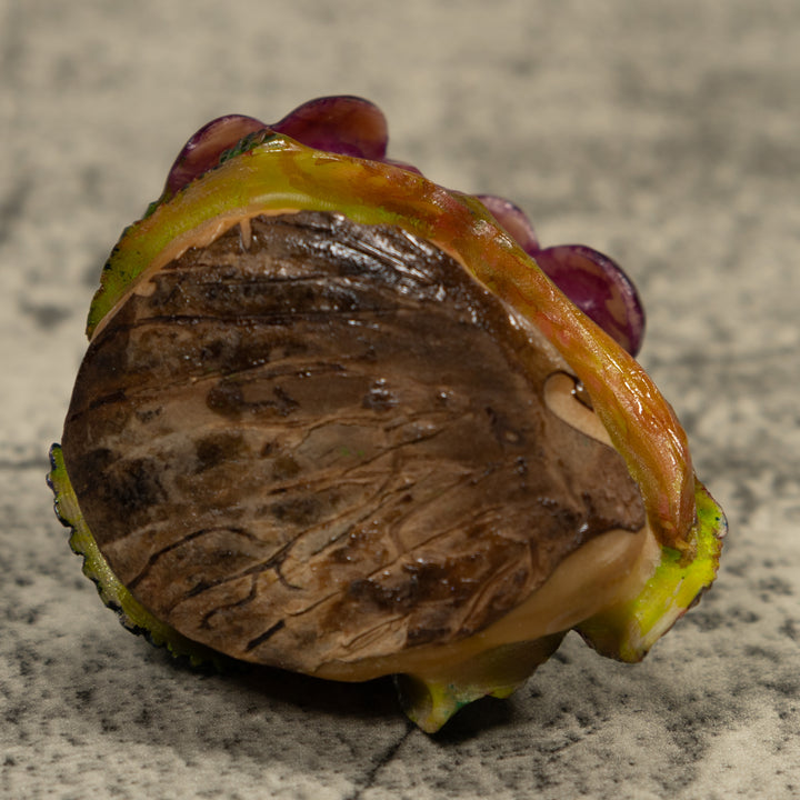 Hummingbird Tagua Carving