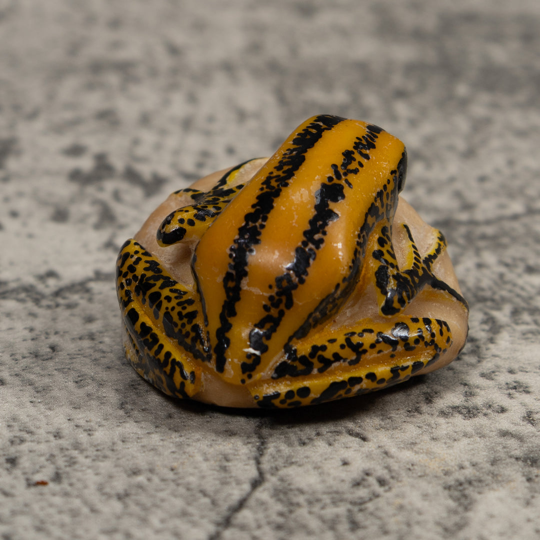 Vintage Yellow And Black Frog Tagua Carving